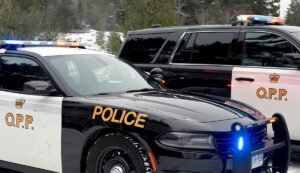 Truck Driver’s Mishap Leads to Ditch Incident