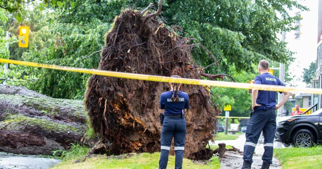 Windstorm Hits St. Catharines on Canada Day Windstorm Hits St. Catharines on Canada Day