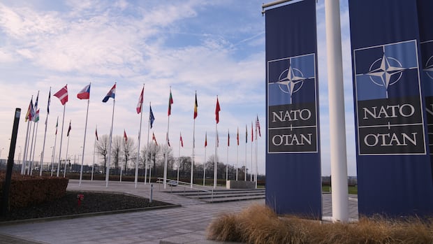 NATO Intern from Canada Arrested on Spying Allegations NATO Intern from Canada Arrested on Spying Allegations