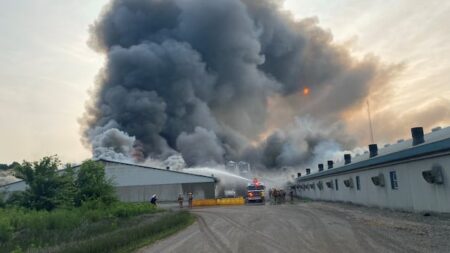 Fire at Norfolk County Hog Barn Causes Major Losses Fire at Norfolk County Hog Barn Causes Major Losses