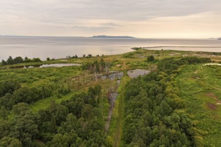 No Offers for Thunder Bay’s Old Mill Site No Offers for Thunder Bay’s Old Mill Site