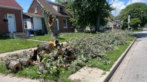 After the Storm: Tips for Cleanup in Southwestern Ontario After the Storm: Tips for Cleanup in Southwestern Ontario