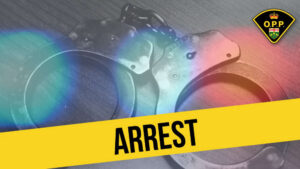 Drug Trafficking Investigation Leads to Charges
