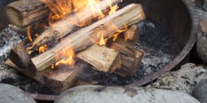 Fire Safety Alert Issued for Southern Ontario Due to Dry Weather