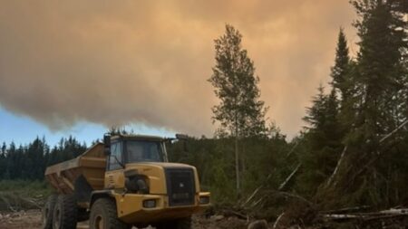 Wildfire Evacuations Impact Armstrong, Whitesand, and Collins First Nations
