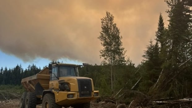 Wildfire Evacuations Impact Armstrong, Whitesand, and Collins First Nations Wildfire Evacuations Impact Armstrong, Whitesand, and Collins First Nations