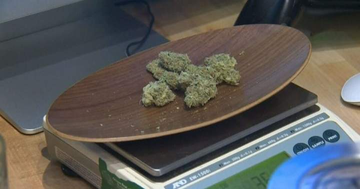 Local Councils Reject Cannabis Stores in Mississauga and Markham Local Councils Reject Cannabis Stores in Mississauga and Markham