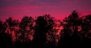 Fires in Northern Ontario Force Evacuations, Impact First Nation Homes