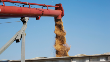 Concerns Over Cargill’s Sarnia Grain Terminal Zoning Order