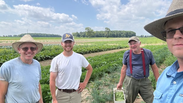 Farmers in Ontario Welcome Heat After Stormy Weather Farmers in Ontario Welcome Heat After Stormy Weather