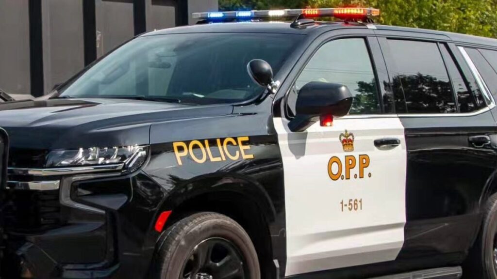 Tragic Highway 17 Crash Claims Life of Ottawa Driver Tragic Highway 17 Crash Claims Life of Ottawa Driver