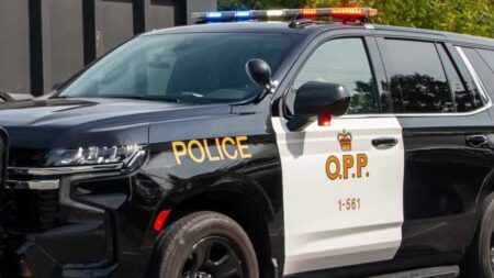 Tragic Highway 17 Crash Claims Life of Ottawa Driver Tragic Highway 17 Crash Claims Life of Ottawa Driver