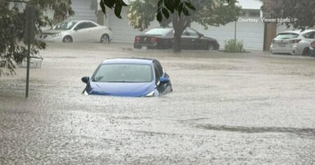 Ottawa Leaders Seek Provincial Aid After Storm Damage