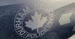Coyote Attacks Toddler at Whitby Playground Coyote Attacks Toddler at Whitby Playground
