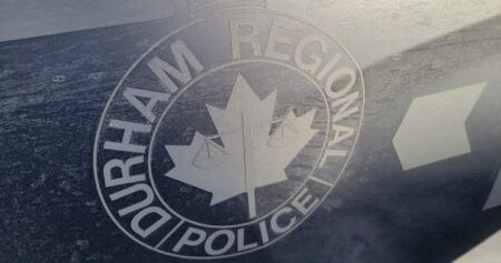 Coyote Attacks Toddler at Whitby Playground