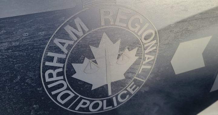 Coyote Attacks Toddler at Whitby Playground Coyote Attacks Toddler at Whitby Playground