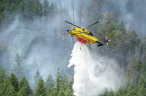 Trump Takes Aim at Canada Over Wildfire Smoke Trump Takes Aim at Canada Over Wildfire Smoke