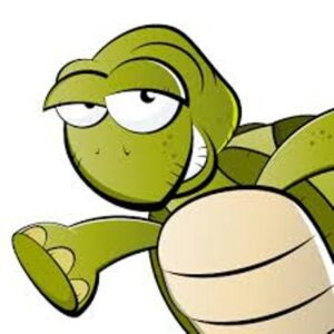 Exciting Turtlefest Event Coming to Tillsonburg Exciting Turtlefest Event Coming to Tillsonburg