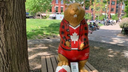 Celebrate Canada Day in Toronto: What to Know