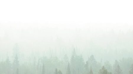Fire Count Rises to 191 in Northern Ontario Fire Count Rises to 191 in Northern Ontario