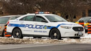 Elderly Woman Dies After Tree Branch Falls Elderly Woman Dies After Tree Branch Falls