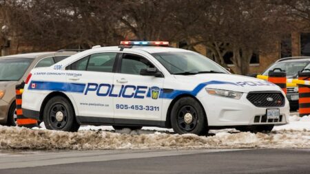 Elderly Woman Dies After Tree Branch Falls