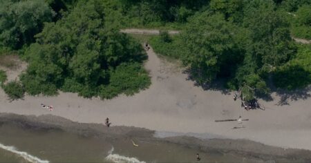 Woman dragged off path and sexually assaulted in Whitby: police – CP24