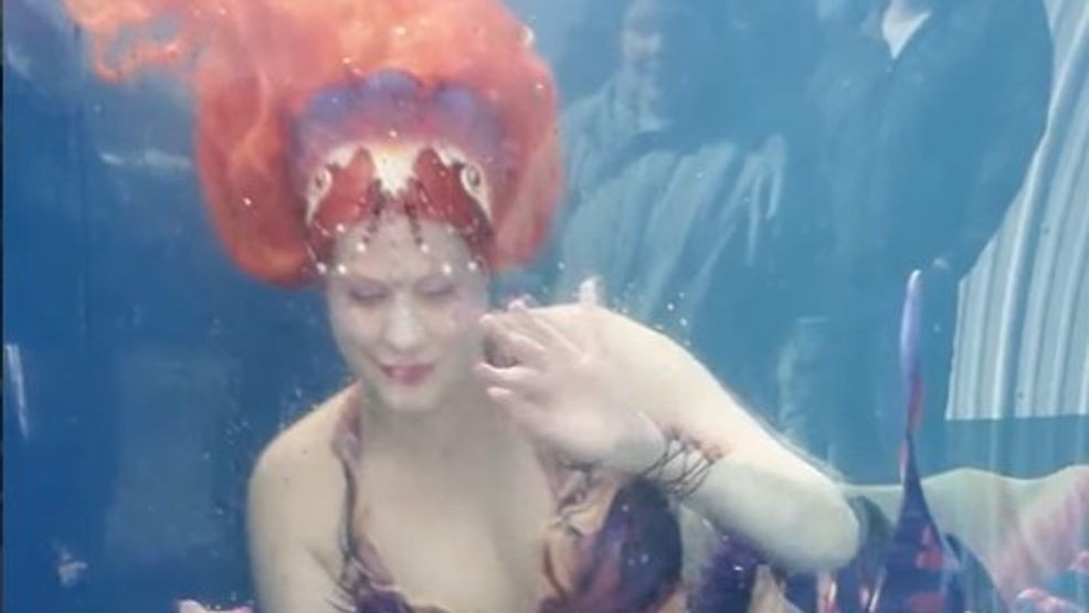 The underwater mermaid show is the greatest attraction during the festival. (Amazing America)