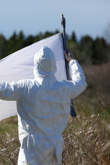 man holding tick dragging sheet