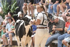 178 years strong: Aylmer Fair keeps it fresh