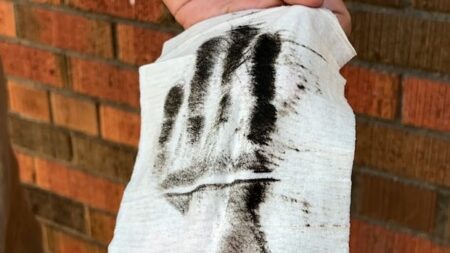 Hamilton’s Soot Issue Tied to Birla Carbon, Says Ministry