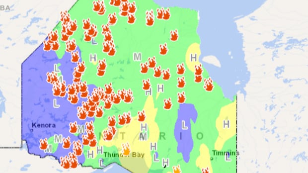 Update on the Forest Fires in Northwestern Ontario Update on the Forest Fires in Northwestern Ontario