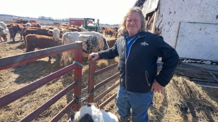 Farmer in St. Thomas Questions Land Compensation Offers