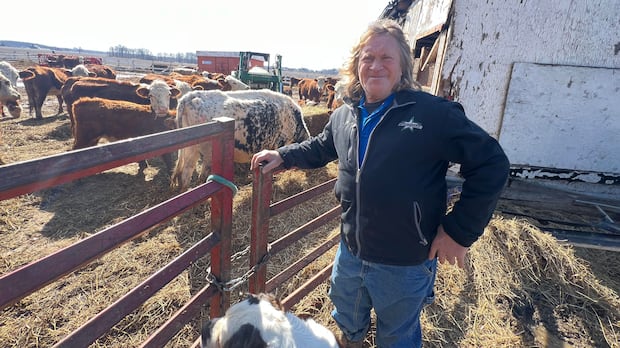 Farmer in St. Thomas Questions Land Compensation Offers Farmer in St. Thomas Questions Land Compensation Offers