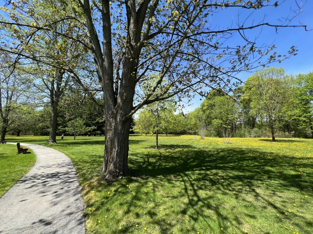 Markham Moves Forward with Purchase of Shouldice Property