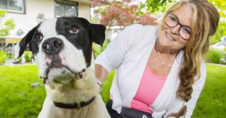 Abandoned Dog in St. Catharines Finds a Loving Home Abandoned Dog in St. Catharines Finds a Loving Home