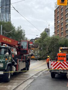 Traffic Disruption in Toronto Due to Fallen Tree