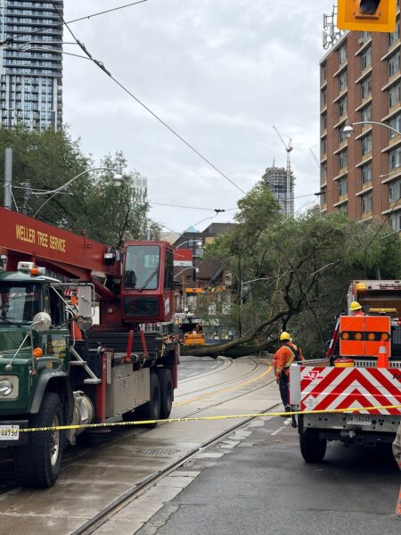 Traffic Disruption in Toronto Due to Fallen Tree Traffic Disruption in Toronto Due to Fallen Tree