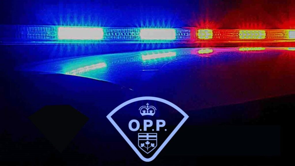 Driver Arrested for Giving Fake Identity