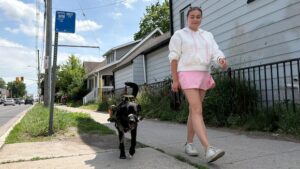 Bus Driver Conflicts Over Service Dog’s Seating