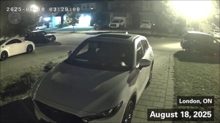 23-Year-Old Faces Charges After Shooting in London 23-Year-Old Faces Charges After Shooting in London