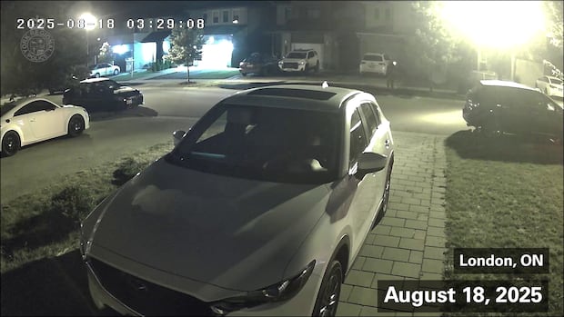 23-Year-Old Faces Charges After Shooting in London 23-Year-Old Faces Charges After Shooting in London