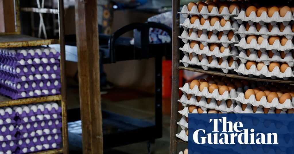Egg Recall in Southern US Linked to Salmonella Cases Egg Recall in Southern US Linked to Salmonella Cases