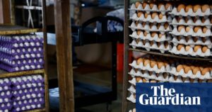 Egg Recall in Southern US Linked to Salmonella Cases Egg Recall in Southern US Linked to Salmonella Cases