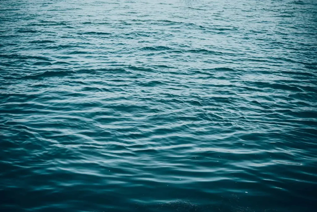 Tragic Canoe Accident Claims Life in Muskoka Tragic Canoe Accident Claims Life in Muskoka