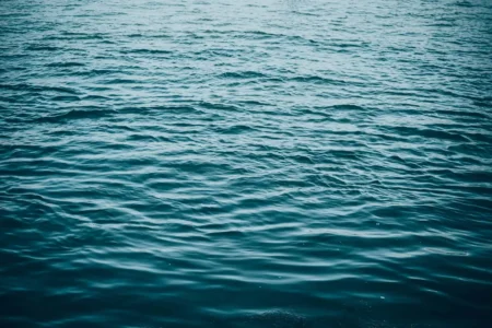 Tragic Canoe Accident Claims Life in Muskoka Tragic Canoe Accident Claims Life in Muskoka