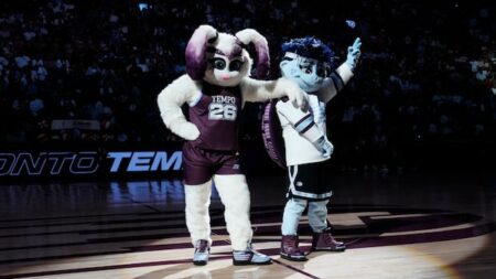 Fans Split Over New Mascots for Toronto Tempo