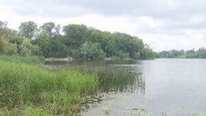 Ontario to restore Brampton’s Heart Lake Conservation Park at price tag of .2M