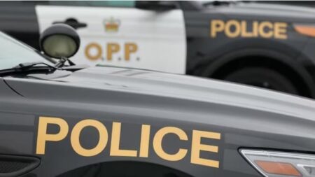 Tragic Accident Claims Life of Local Pedestrian Tragic Accident Claims Life of Local Pedestrian