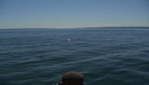 Burlington Residents Share Thoughts on Trump’s Lake Rename Burlington Residents Share Thoughts on Trump’s Lake Rename